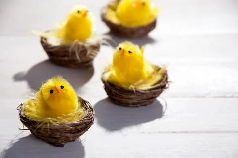 Yellow Chicks In Easter Basket Or Nest Stock Photos