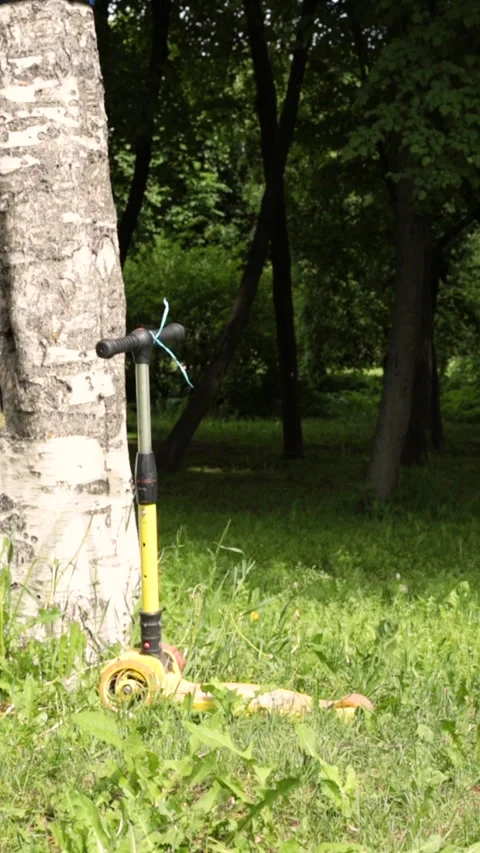 A yellow children's scooter at a tree in a clearing. Flying fluff. Summer day. Stock Footage 197998743