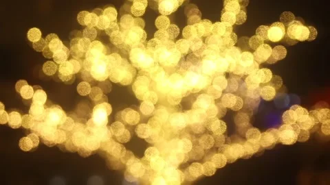 Yellow Christmas Light Bokeh on Small Tree Stock Footage 233226309