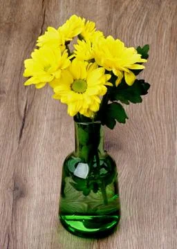 Yellow Chrysanthemum Stock Photos