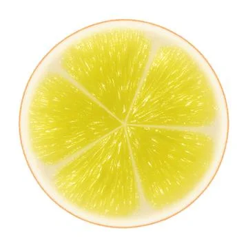 Yellow citrus slice Stock-Illustration