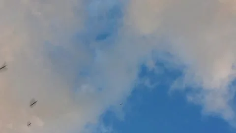 Yellow clouds on blue sky background time lapse Stock Footage 342492557