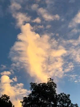 Yellow clouds Stock Photos