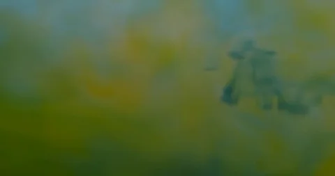 Yellow cloudy liquid disrupted by black paint Stock Footage 114086228