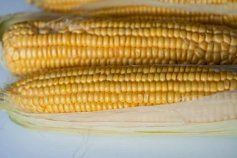 Yellow cobs of corn, close up Stock Photos