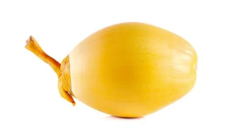 Yellow coconut close up on white background . Stock Photos