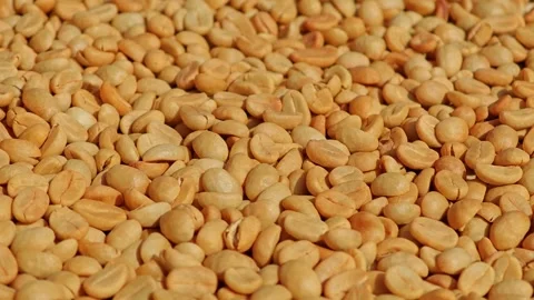 Yellow coffee beans, close up view. Stock Footage 304647308