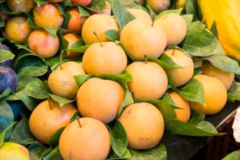 Yellow colored apples 스톡 사진