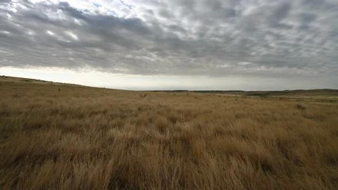 Yellow colored fall prairie grass moving in a light wind under a cloudy sky Stock Footage 220684449