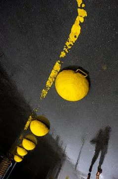 Yellow concrete hemispheres on wet asphalt. Stock Photos