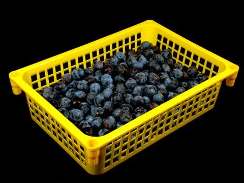 The yellow container with plum on a black background. Foto stock