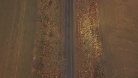 Yellow convertible rides on the road between fields and trees in Autumn. bird's Stock Footage 126174932