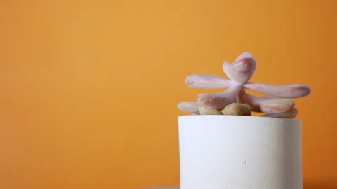 Yellow copy space background. In the foreground small succulent rotates Stock Footage 133869809