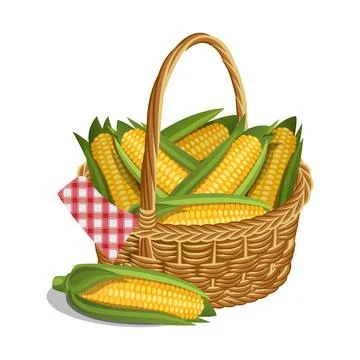 Yellow corn in basket, isolated on white. Vector illustration. Stock Illustration
