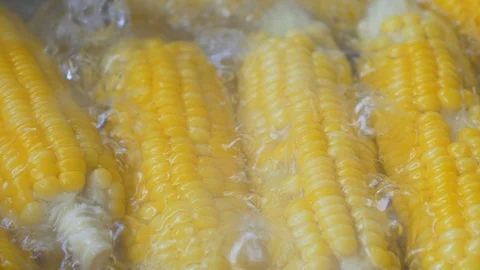 Yellow corn boiled in a pot Stock Footage 102408175