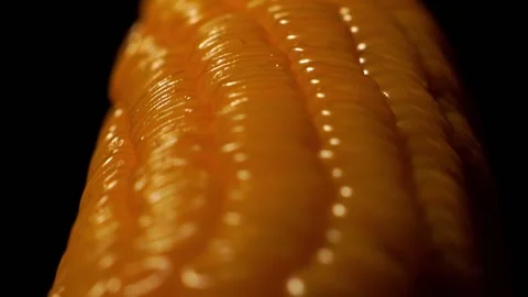 Yellow corn on the cob on a black background Stock Footage 140110670