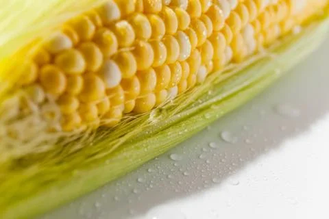 Yellow Corn Cob Closeup, Macro Shot on the white background Stock Photos