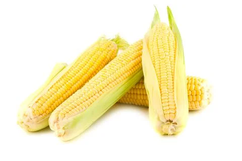 Yellow corn on the cob Stock Photos