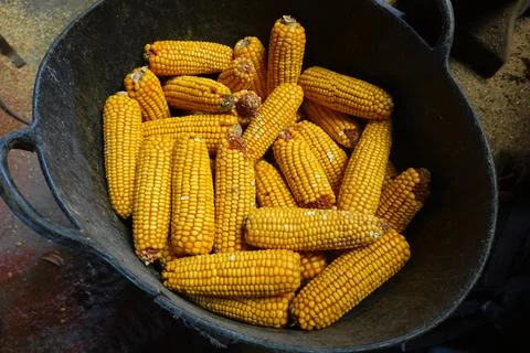 Yellow Corn Cobs in Black Container Stock Photos