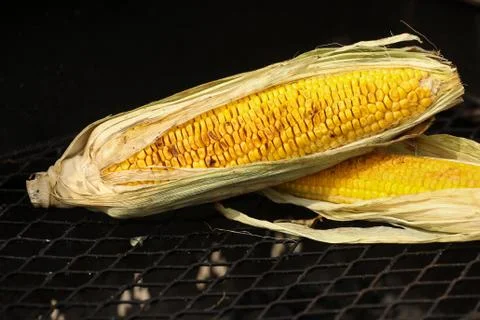Yellow corn cooked on a grill. Preparing healthy food. Cooking outside. Stock Photos