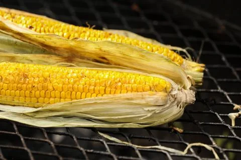 Yellow corn cooked on a grill. Preparing healthy food. Cooking outside. Stock Photos