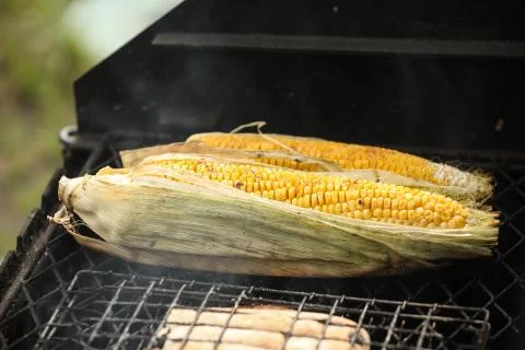 Yellow corn cooked on a grill. Preparing healthy food. Cooking outside. Stock Photos