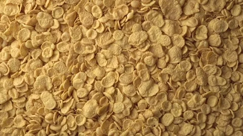 Yellow corn flakes form a slowly rotating textured background. Concept of Stock Footage 242293761