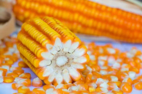 Yellow corn food background Stock Photos