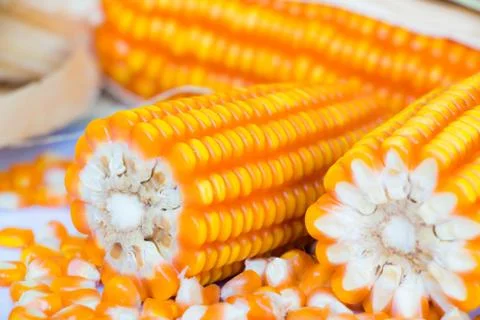 Yellow corn food background Foto stock