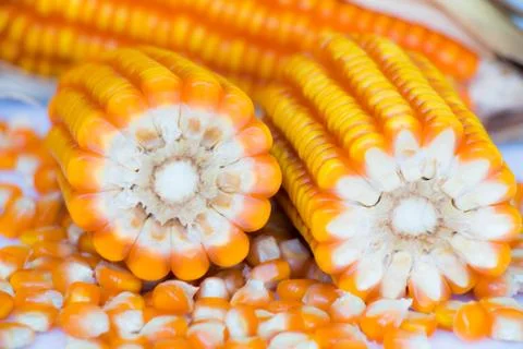 Yellow corn food background Stock Photos