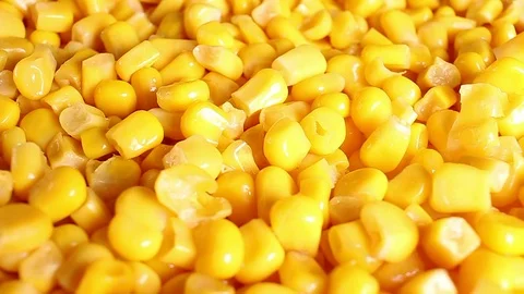 Yellow corn grain grains rotating texture pattern closeup footage Stock Footage 97234006