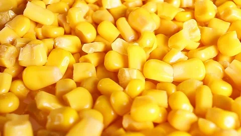 Yellow corn grains rotating looping food video Stock-Footage 98387951