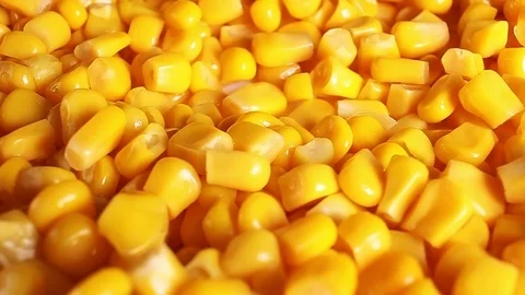Yellow corn grains rotating looping food video Video stock 98388087