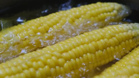 Yellow corn in hot pot boiler. Stock Footage 133120118