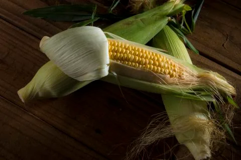 Yellow corn in husk Foto stock