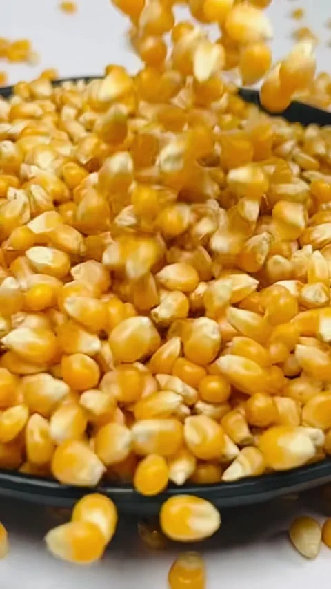 Yellow corn kernels falling into a bowl, vertical slow motion view Stock Footage 345155626