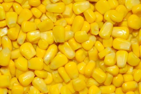 Yellow Corn Kernels Macro Close Up Food Texture Background Stock Photos