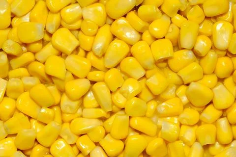 Yellow Corn Kernels Macro Close Up Food Texture Background Stock Photos