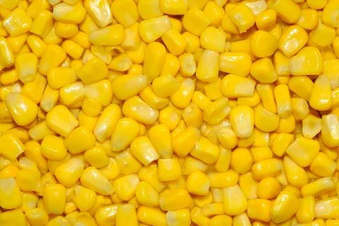 Yellow Corn Kernels Macro Close Up Food Texture Background Stock Photos