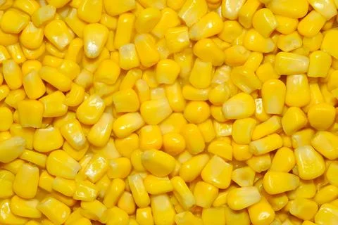 Yellow Corn Kernels Macro Close Up Food Texture Background Stock Photos