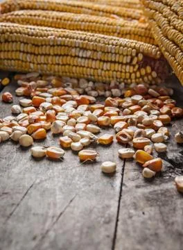Yellow corn kernels Foto stock