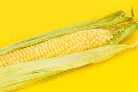 Yellow corn maize on a yellow background in a close up view Stock Photos