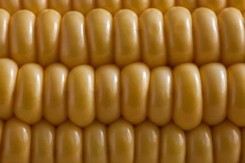 Yellow corn pattern close up Foto stock