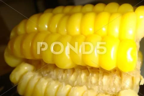 Yellow corn Stock Photos