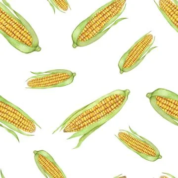 Yellow corn seamless pattern, green husk textile, golden cobs background Illustrazione stock