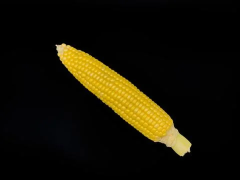 A yellow corn stalk with a green stem, white background, copy space, flay lay, Stock Photos