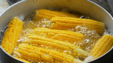 Yellow corn sweet boiled in a pot Stock Footage 102408406
