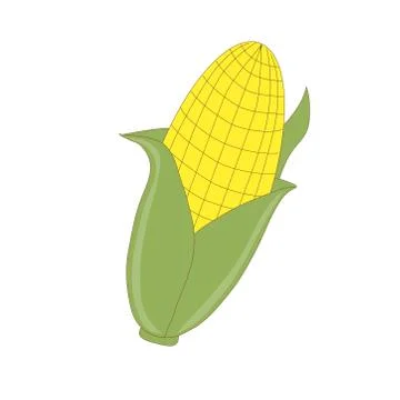 Yellow corn on a white background. Vegetable. Illustration. Stock Illustration