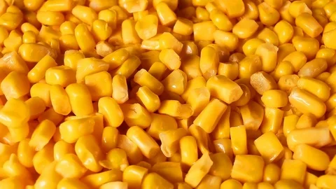 Yellow corns. Corn grains rotating pattern macro texture background backdrop Stock Footage 91378221