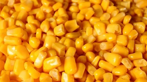 Yellow corns. Corn grains rotating pattern macro texture background backdrop Stock Footage 91378288